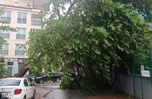 Meteoroloji’den Denizli için uyarı yapıldı, kuvvetli fırtına geliyor