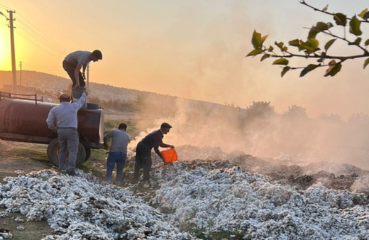 Adıyaman Besni'de 6,5 ton pamuk yandı