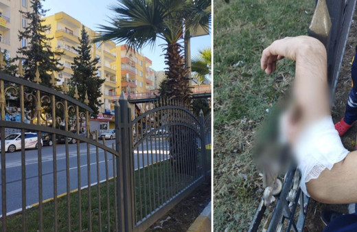 Korkuluğun üzerinden atlamaya çalıştı, demir koluna saplandı!