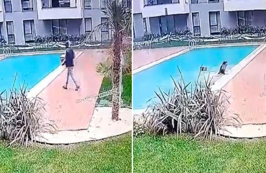 Kurye lüks siteye girdi kısa yolu tercih etti farketmeyince olanlar oldu