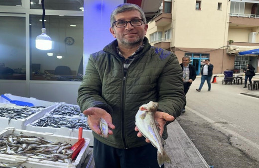 Sinop Karadeniz'de 300 gramlık mezgit yakalandı