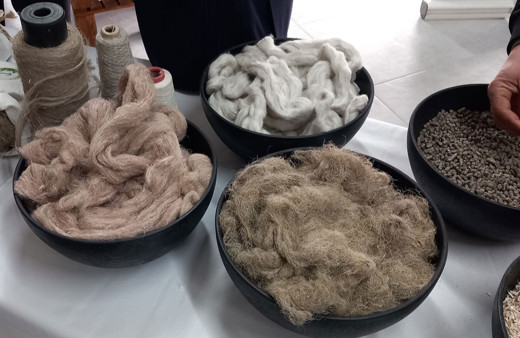 Samsun’da kenevir işleyecek fabrika tanıtıldı!