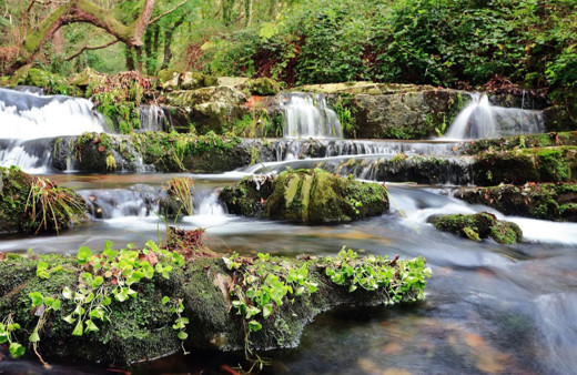 Profesör uyardı: Türkiye'de su seferberliği başlatılmalı!