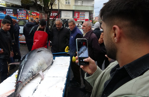 2 metreden büyük orkinosu görenler telefona sarıldı