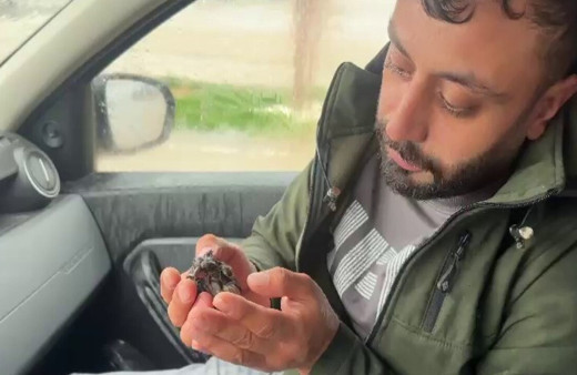 Adıyaman’da minik serçe sel sularından gazeteci tarafından kurtarıldı