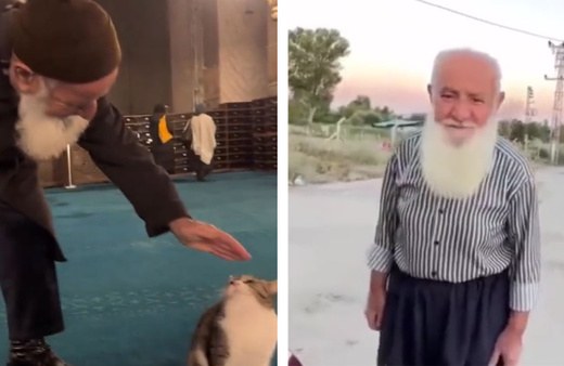 Ayasofya'nın kedisini 'Seni Yaradan'a gurban alıyım' diye seven dede bulundu! Beni maskara yaptılar...