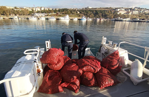 Tekirdağ'da 1 ton 500 kilogram kum midyesi ele geçirildi!