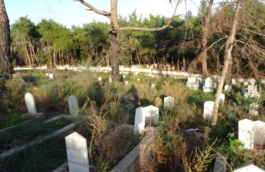 Antalya'da şiddetli fırtınanın söktüğü ağaç mezarları tahrip etti