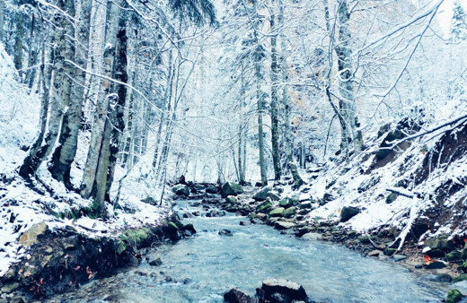 Bursa'da kar yağışı kartpostallık görüntüler ortaya çıkardı, gören mest oldu