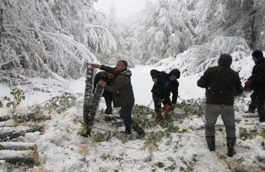 Bolu'da karda mahsur kalan vatandaşların imdadına ormancılar yetişti