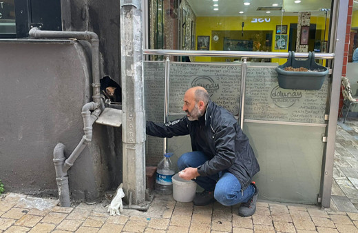 Trabzon'da kedi yavrusunu kurtarmak için duvarı kırdılar!