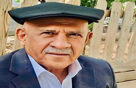 Silopi'de budamak için çıktığı ağaçtan düşen adam hayatını kaybetti