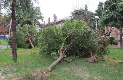 Manisa’ya kuvvetli yağış ve fırtına uyarısı!