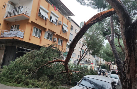 Kopan ağaç dalı seyir halindeki otomobilin üzerine düştü
