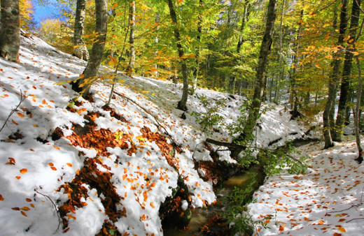 Balıkesir’in yüksek kesimlerine yağan kar görüntüleri mest etti