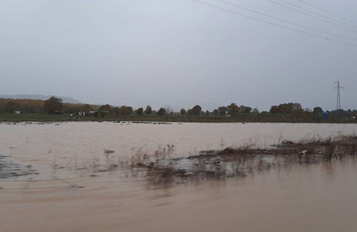 Çanakkale'de dere taştı, çilek bahçeleri su altında kaldı!