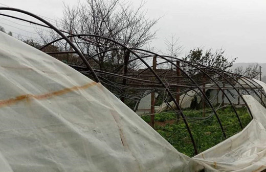Kastamonu'da fırtına sebebiyle seralarda büyük hasar meydana geldi