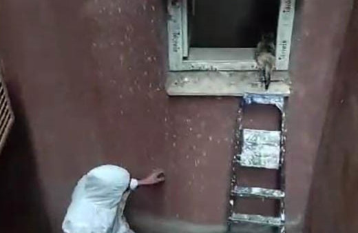 Havalandırma boşluğuna düşen kediyi çalışanlar kurtardı