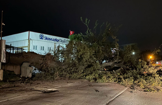 Bursa'da kuvvetli lodos yaşamı olumsuz etkiledi