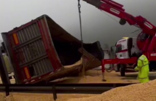 Buğday yüklü tır yan yattı, tahıl yola saçıldı