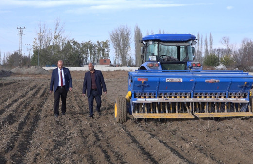 Iğdır'da yerli ve milli buğday ekimi başladı, 1 ton ürün bekleniyor