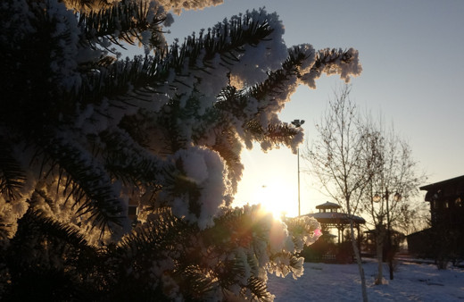 Ardaha'da sibirya soğukları yaşanıyor, eksi 9 derece görüldü