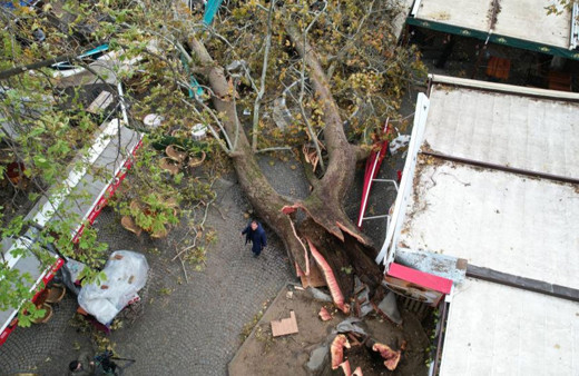 Bursa'da 250 yıllık çınar fırtınaya dayanamadı!