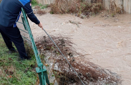 Kütahya'da sel sularına kapılan kediyi itfaiye ekipleri kurtardı