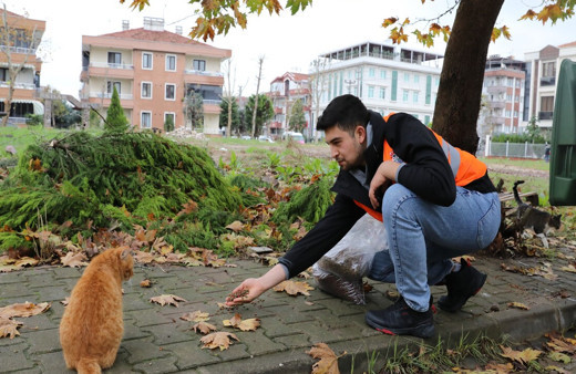 Yalova Belediyesi’nden sokak hayvanlarına 11 ayda 28,5 ton mama dağıtıldı