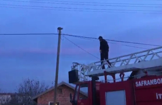 Köpeklerden korkup çıktığı direkte mahsur kaldı