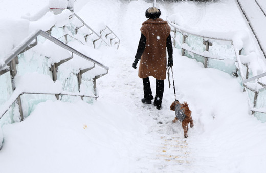 Almanya'nn güneyinde yoğun kar yağışı
