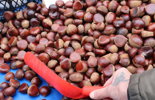 Kış aylarının vazgeçilmezi kestane pazarda yerini aldı