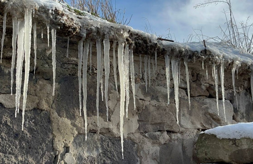 Ağrı'da kar etkili olmamasına rağmen don meydana geldi