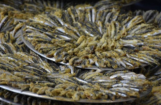 Ordu'da düzenlenen festivalde 10 ton hamsi tüketildi!