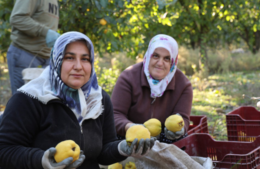 Rusya'nın ayvası Kahramanmaraş'tan gidiyor