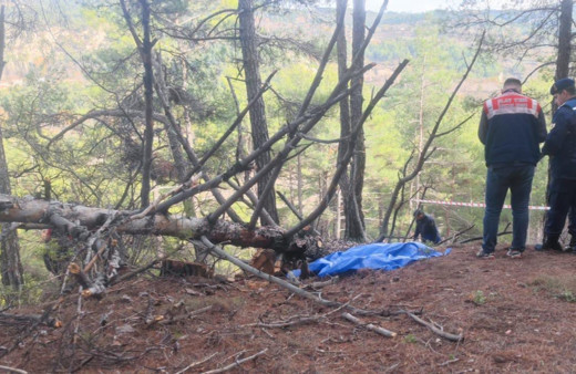 Denizli'de odun yapmak için kestiği ağacın altında kalarak hayatını kaybetti