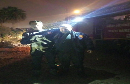 Palmiye ağacında mahsur kalan kedi itfaiye ekipleri tarafından kurtarıldı