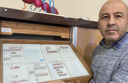 Sivas'taki Yıldız Dağları'nda yeni bir böcek türü keşfedildi