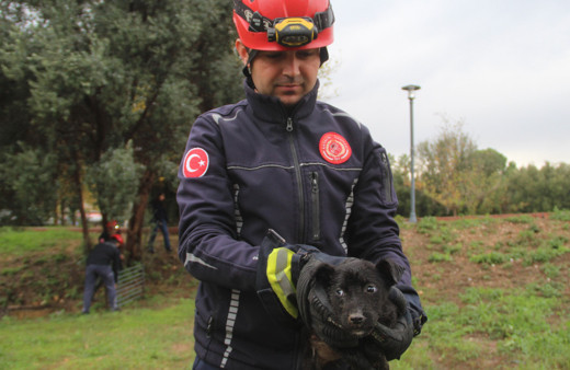 İtfaiye eri su borusundaki köpeği kahramanca kurtardı, duygu dolu anlar yaşandı