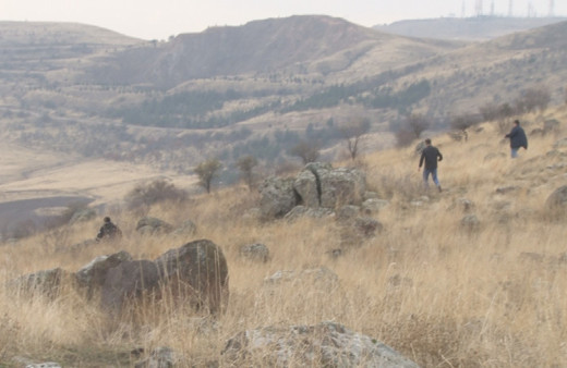 Ankara'da başıboş sokak köpeği sürüsü okula giden çocuğa saldırıp parçaladı!