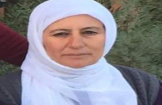 Mardin'de otomobil çarpması sonucunda ağır yaralanan kadın, hayatını kaybetti