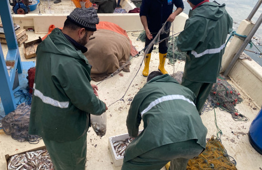 Zonguldak’ta balıkçılar limana 500 kilogram mezgitle demir attı