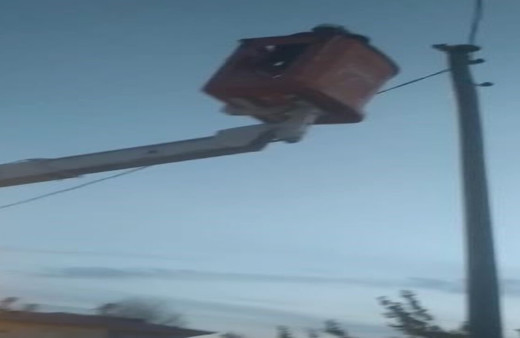 Van'da elektrik direğinde mahsur kalan kedi kurtarıldı