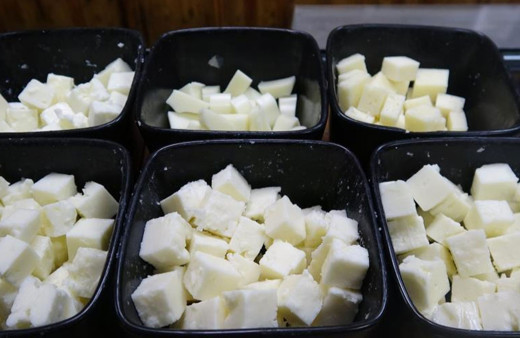 Ezine peyniri, AB'den coğrafi işaret tescili alan ilk peynir oldu!