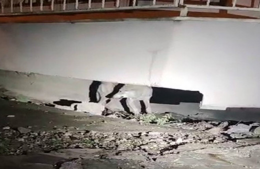 Adıyaman'da kent merkezine kurt indi, vatandaş tedirgin oldu