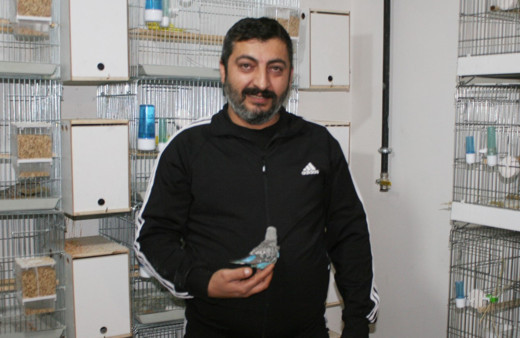 Muhabbet kuş bakımına hobi olarak başladılar, işlerini büyüttüler