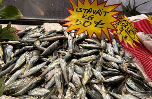 İstavrit kilosu 50 liradan tezgahlardaki yerini aldı