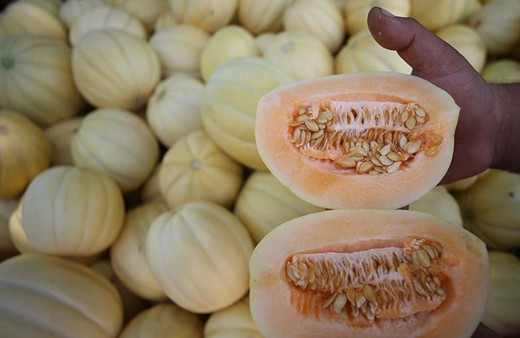 Bozuk kavun 8 kişiyi öldürdü! Onlarca kişi hastaneye kaldırıldı