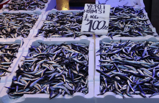 Vatandaş bu sene hamsiye doyacak