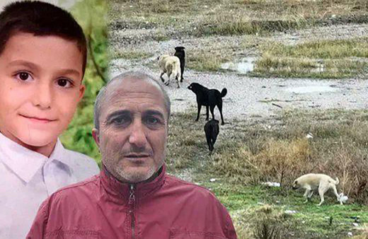 "Vücudunun çoğu yerinde et kalmamış, köpekler yemiş çocuğumu!" Babası Tunahan'ın son durumunu anlattı